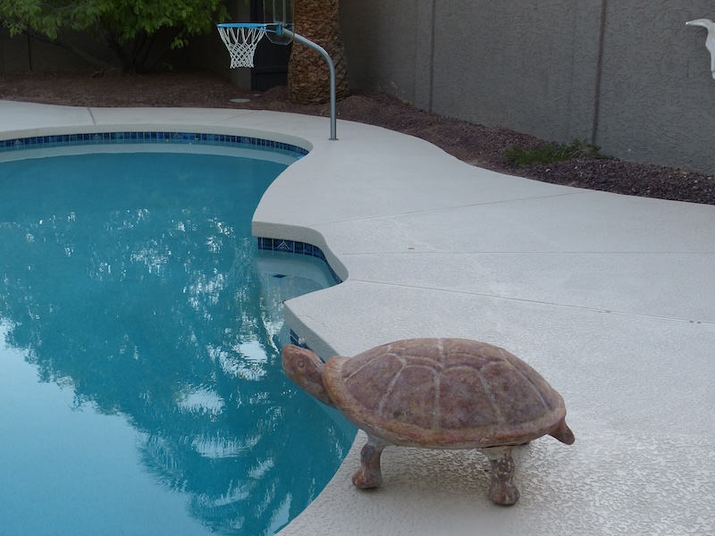 After: Turtle pool deck restoration